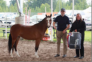 Grand Champion Sport Pony: Exeter Evenstar