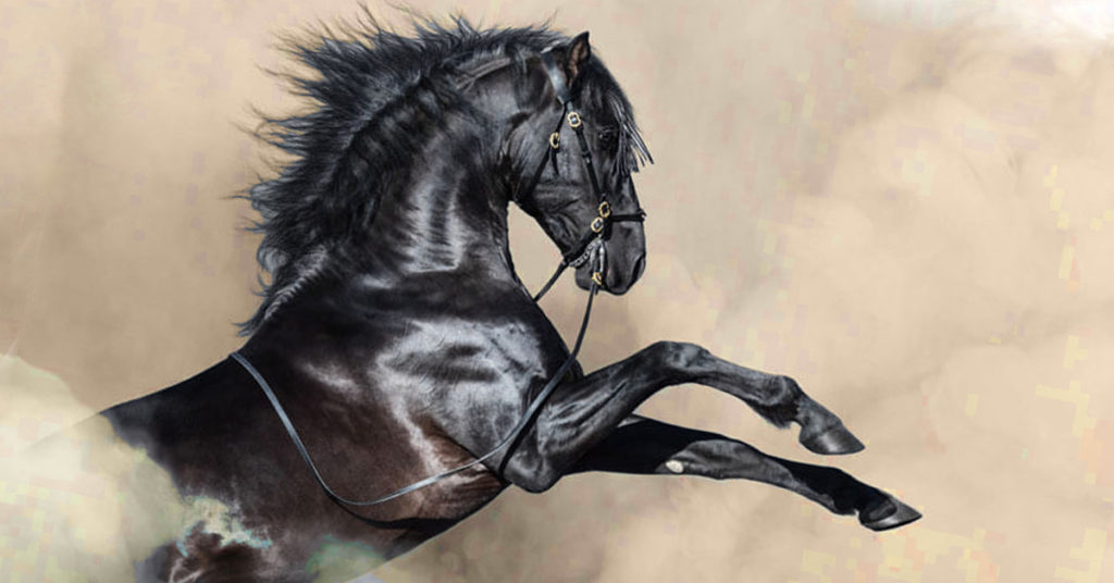 Volatile Stallion Avoiding Explosions: Feeding the Volatile Equine Athlete