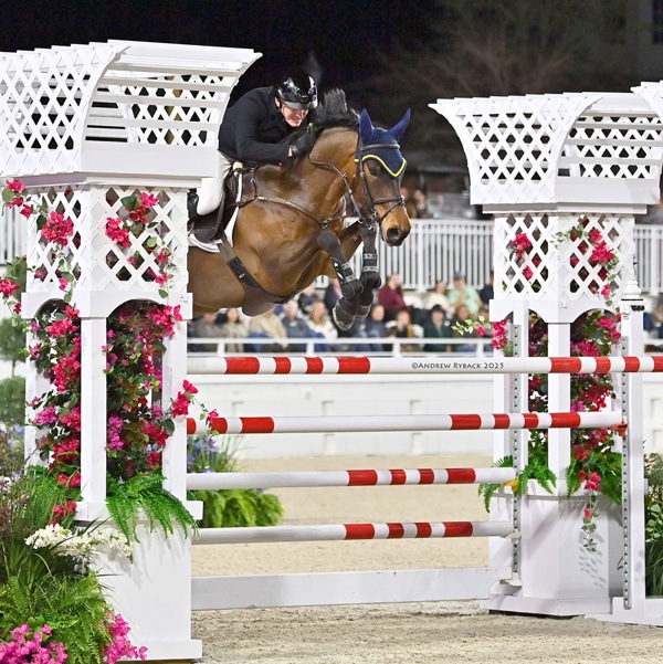 A man jumping a bay horse over a fence in Ocala.