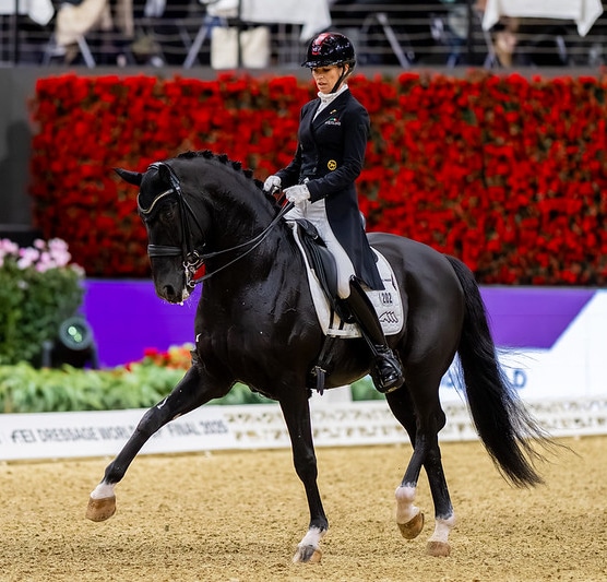 A woman riding a black dressage horse.