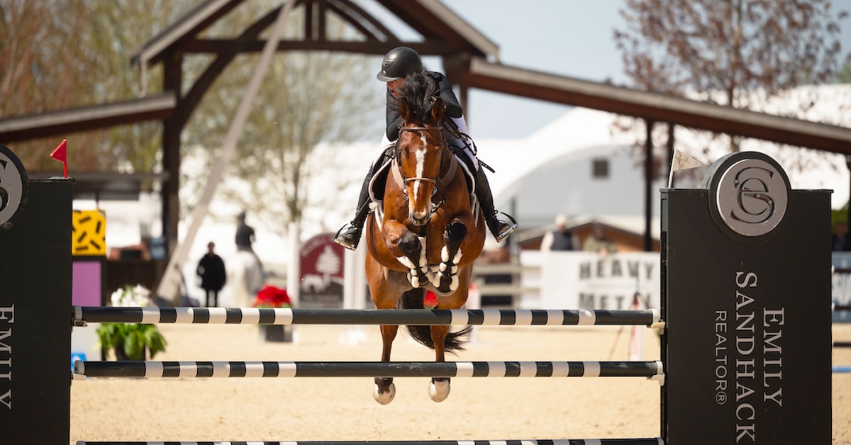A woman jumping a fence at tbird on a bay horse.