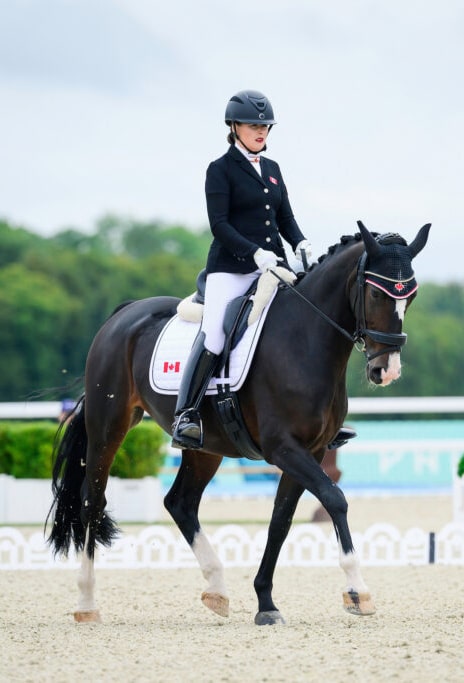 A woman riding a black dressage horse at the Olympics.