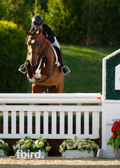 A woman riding a bay horse over a hunter fence.