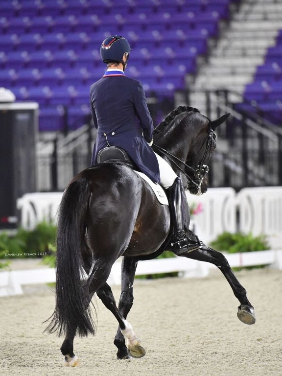 A man riding a black dressage horse in an arena.