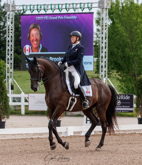 A woman riding a dark bay dressage horse in an arena.
