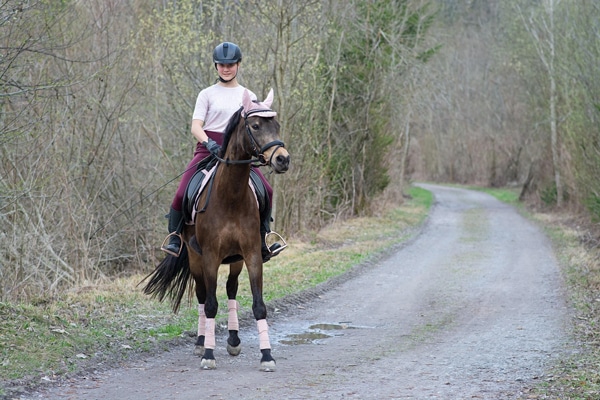 A woman riding a horse on the road.