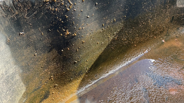 Algae in a water trough.