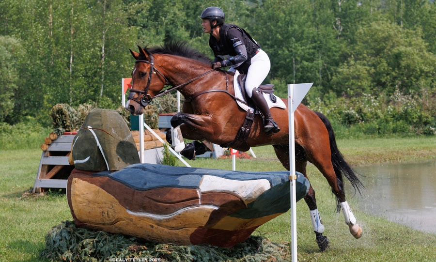 A woman jumping a bay horse over a cross-country fence.