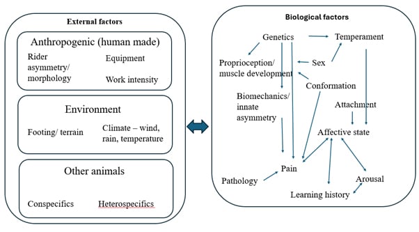 A chart of behaviours.