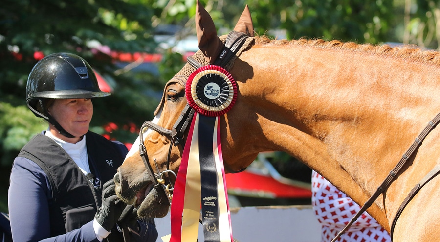 A woman scratching a chestnut horse's nose.