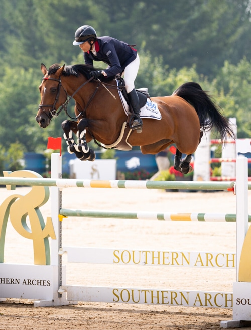 A woman jumping a bay horse over a fence in Traverse City.