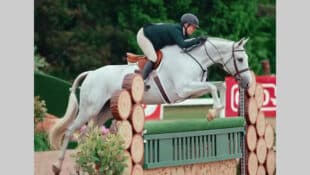 A woman riding a grey horse over a hunter fence.