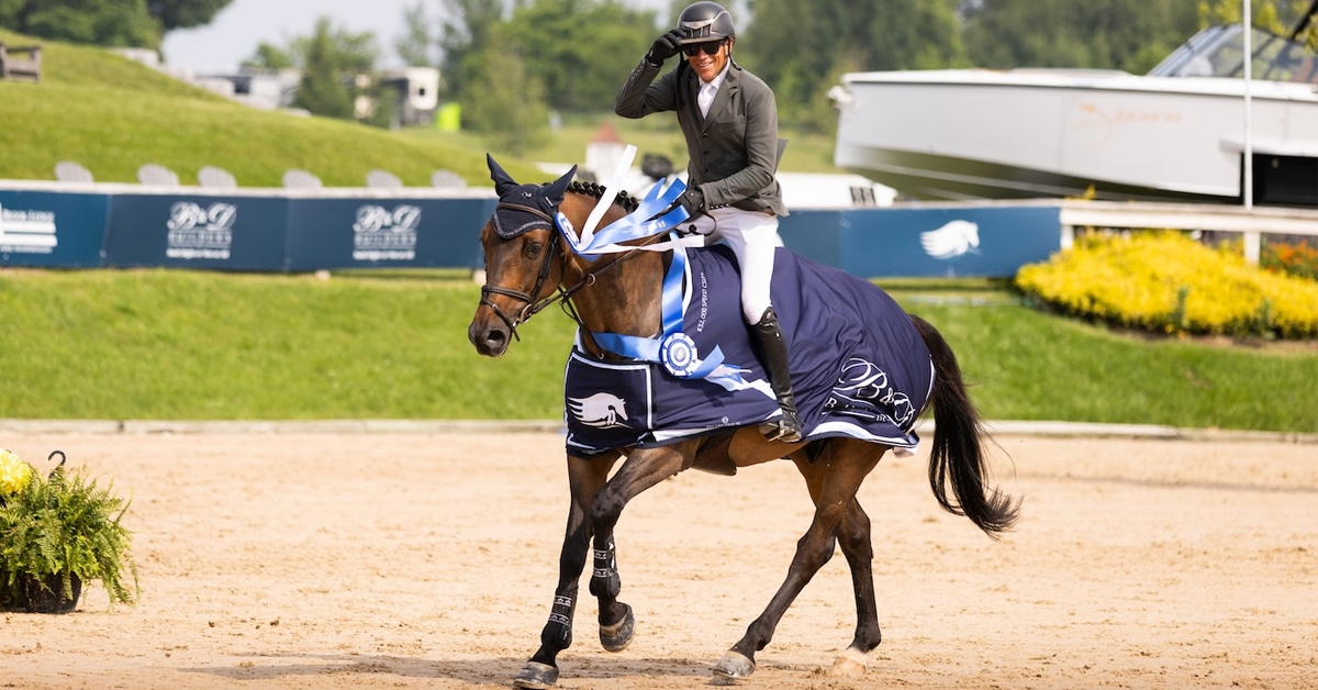 A man on a bay horse during a victory gallop at Traverse City.