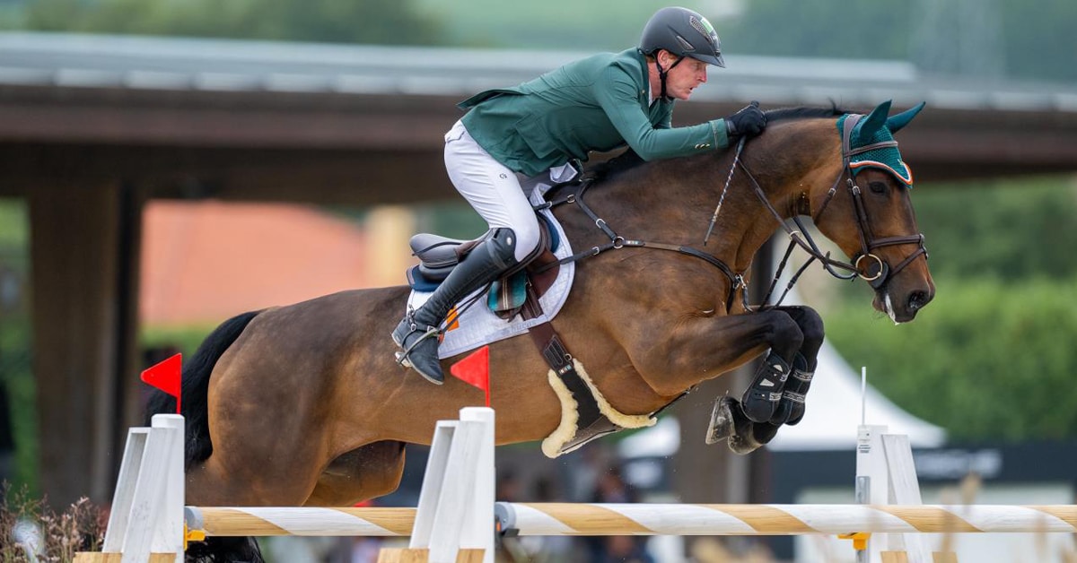 A man jumping a bay horse over a fence in Spain.