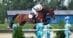 A man riding a bay horse over a fence in New York.