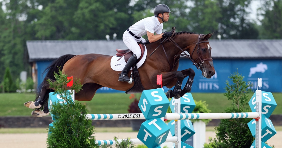 A man riding a bay horse over a fence in New York.