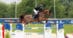 A woman jumping a bay horse over a fence in Michigan.