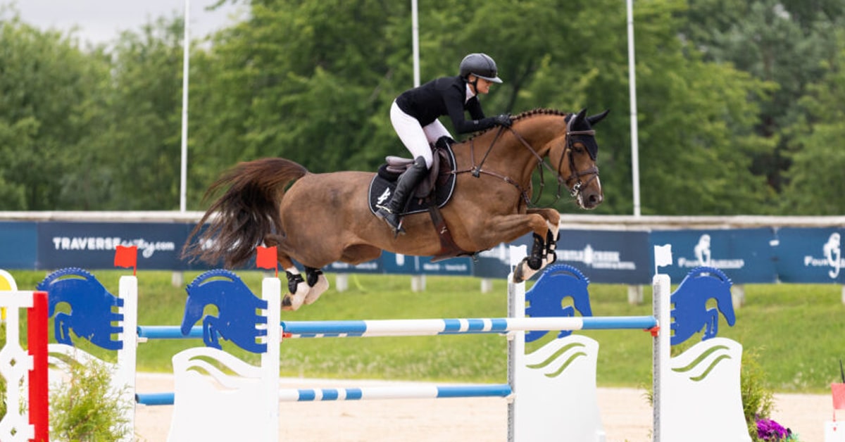 A woman jumping a bay horse over a fence in Michigan.