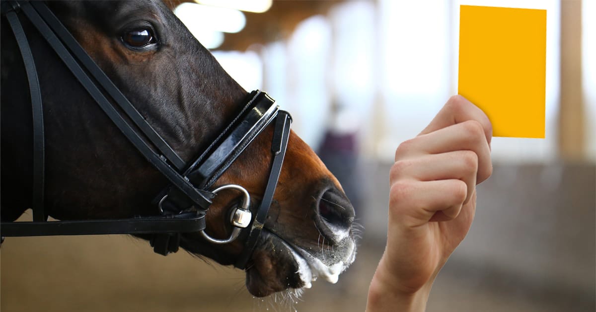 A horse with a foamy mouth; a hand holding a yellow card.