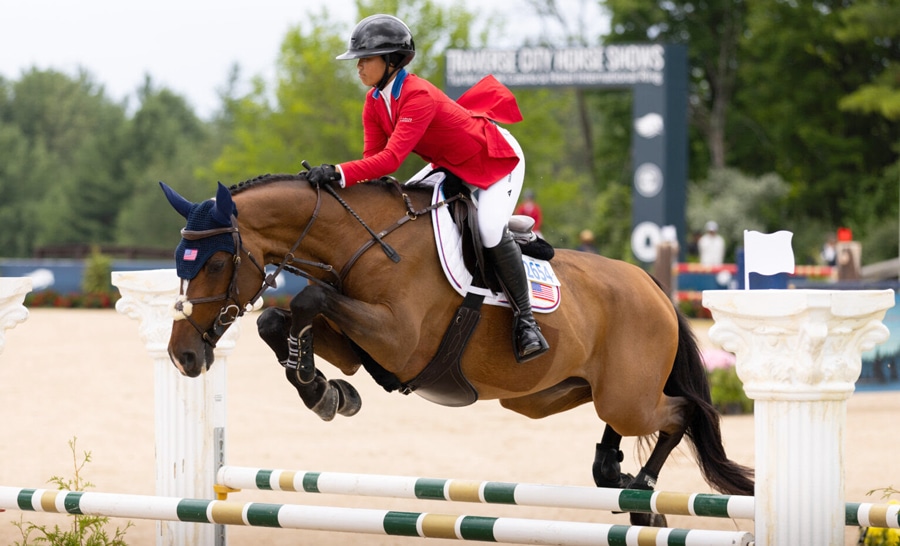 A woman jumping a bay horse over a fence.