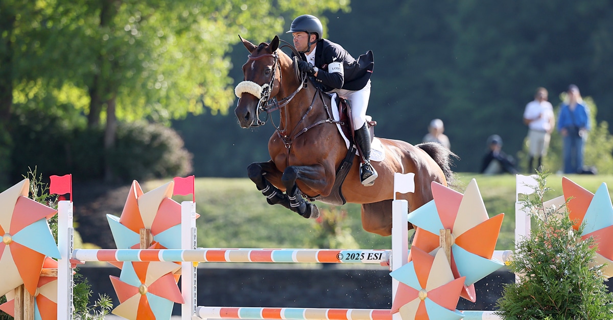 A man jumping a bay horse over a fence in New York.