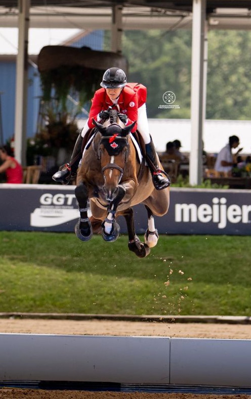 A woman jumping a bay horse over a water jump.