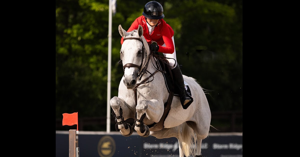 A woman jumping a grey horse over a fence in Michigan.