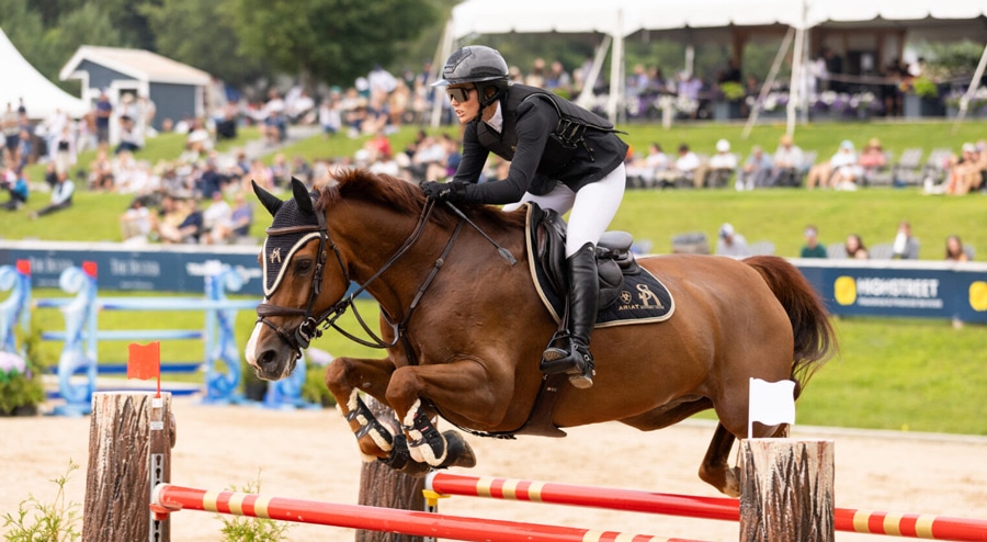 A woman jumping a chestnut horse over a fence in Michigan.