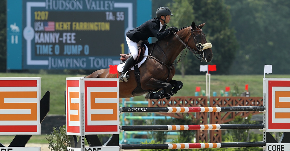 A man jumping a dark bay horse over a fence in Saugerties.