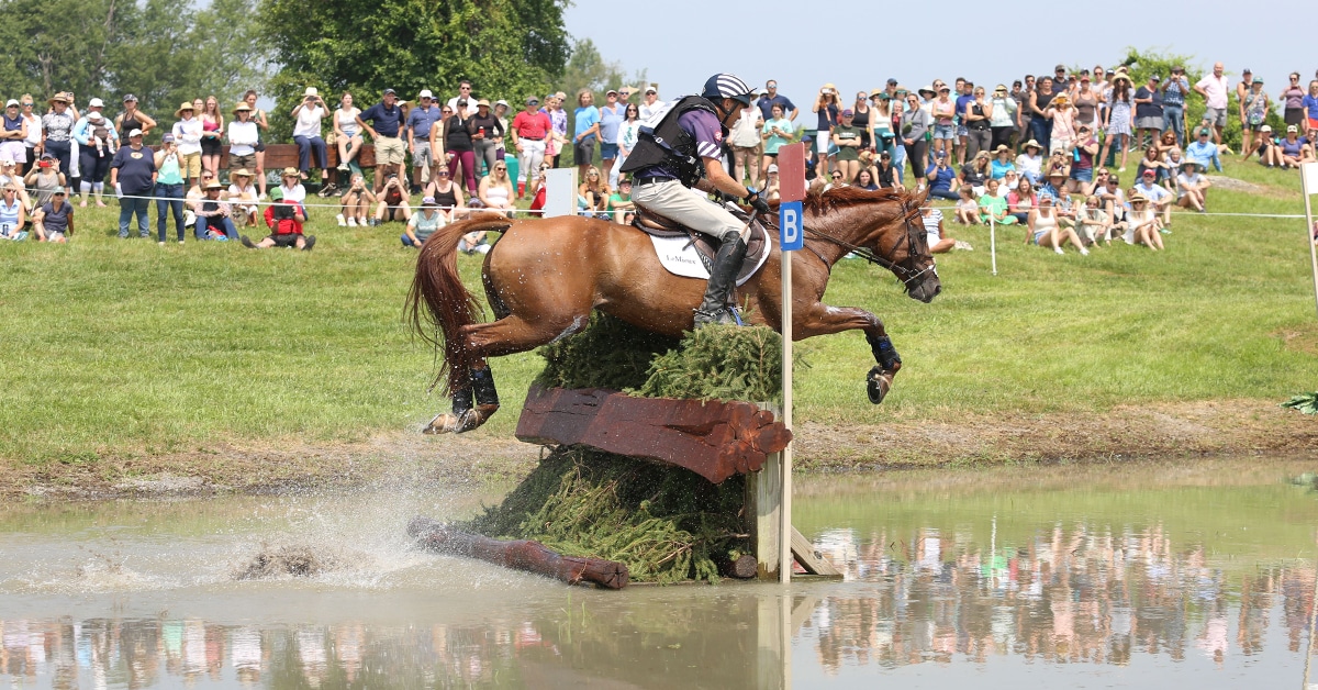 A man jumping a horse over a water jump in New York.