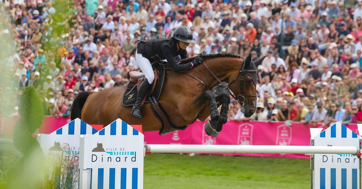 A woman jumping a bay horse over a fence in France.