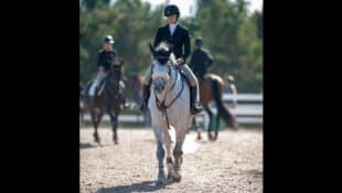 Horses and riders in a warm-up ring.