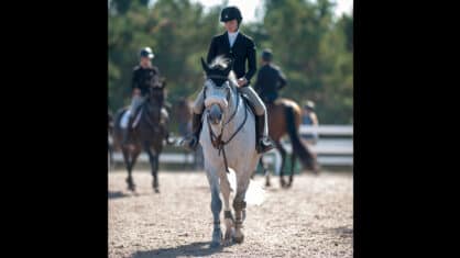 Horses and riders in a warm-up ring.