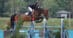 A man riding a bay horse over a fence in New York state.