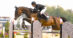 A man jumping a bay horse over a fence in Traverse City.