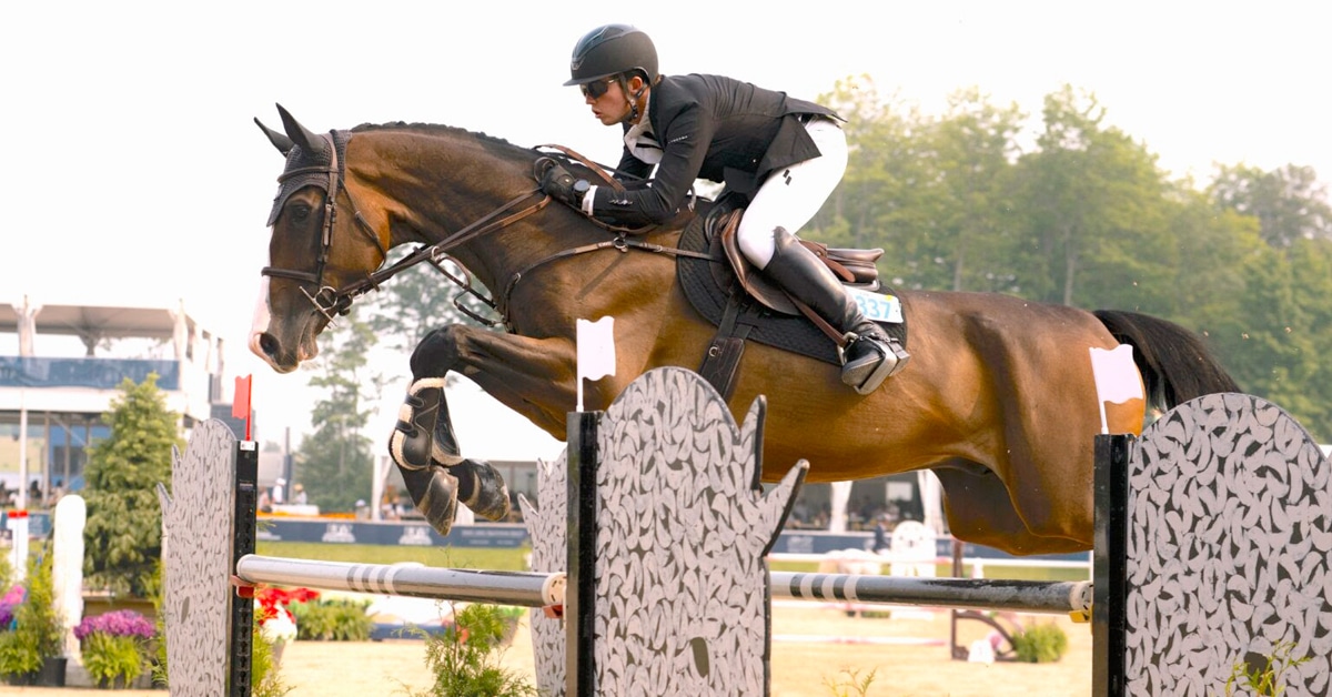 A man jumping a bay horse over a fence in Traverse City.