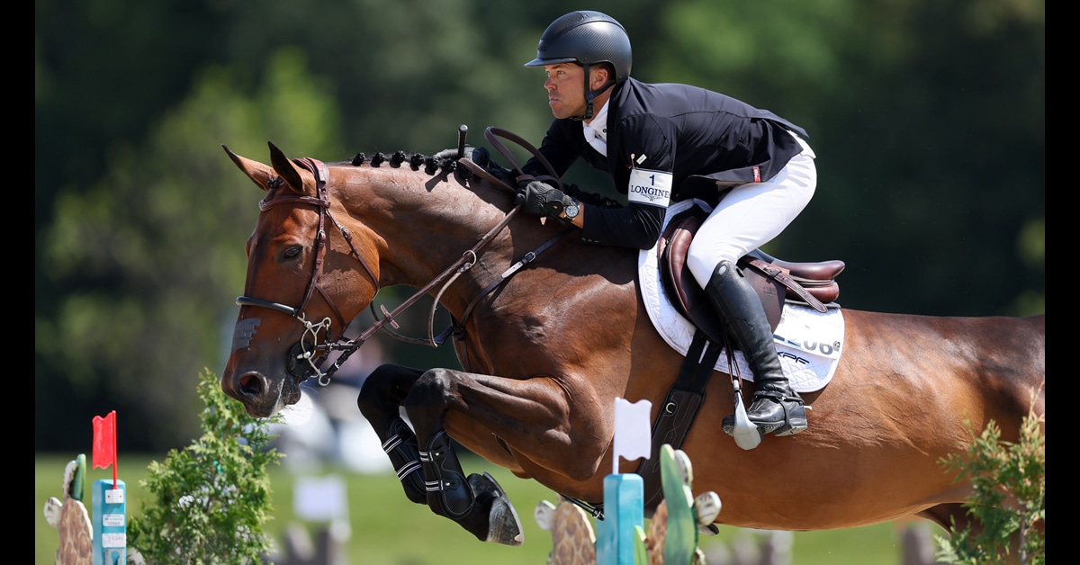 A man jumping a bay mare over a fence in Saugerties.