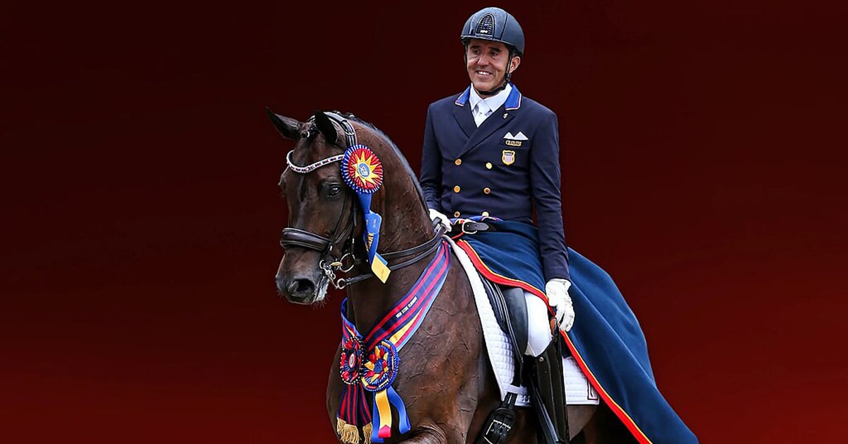 A man riding a bay dressage horse.