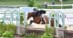 A young girl riding a pony hunter over a fence.