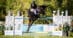 A man jumping a dark bay horse over a fence at tbird.