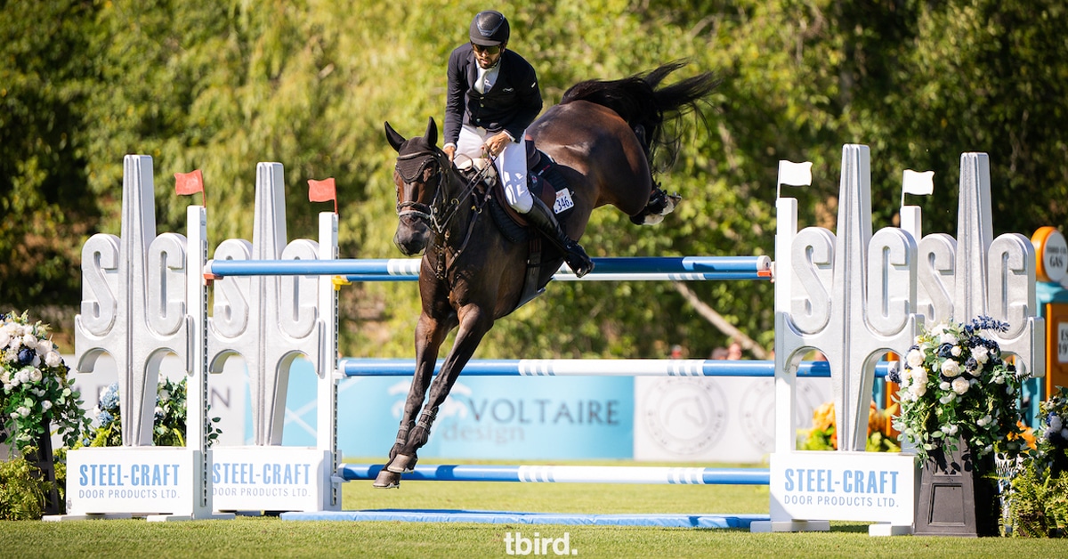 A man jumping a dark bay horse over a fence at tbird.