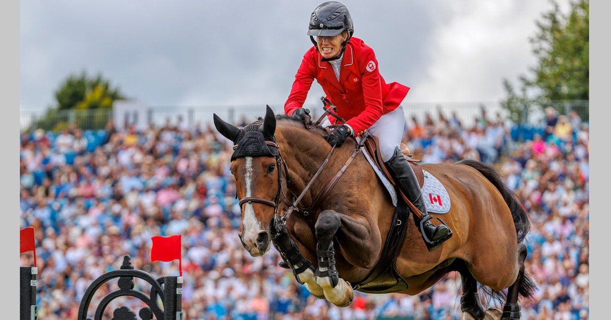 A woman wearing a red jacket riding a bay horse over a fence in Dublin.