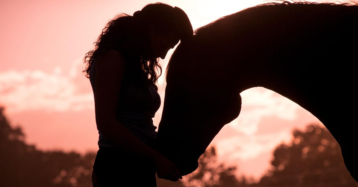Thumbnail for Planning Ahead for Your Horse’s Future