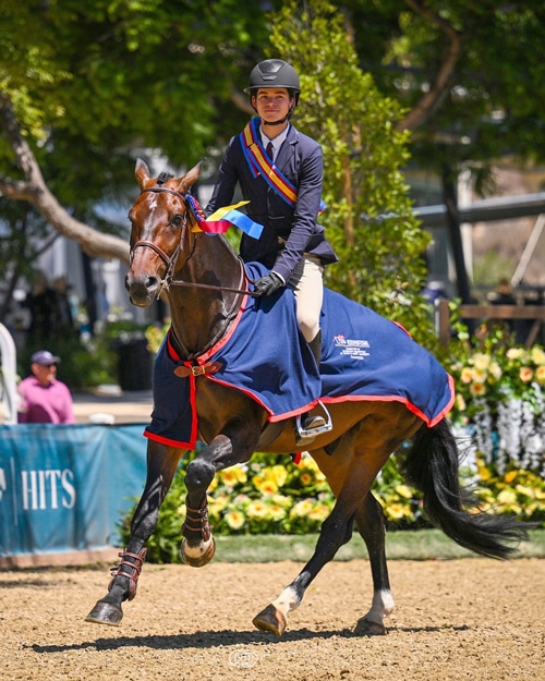 A young man cantering on a bay horse.