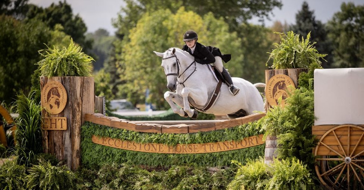 A woman riding a grey horse over a hunter fence in Ottawa.