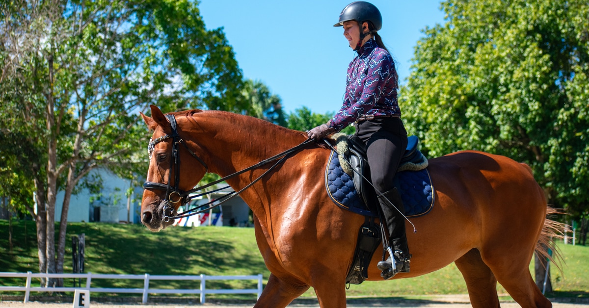 A woman on a chestnut dressage horse that is walking in an arena.