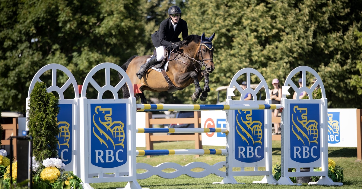 A man riding a bay horse over a fence in Ottawa.