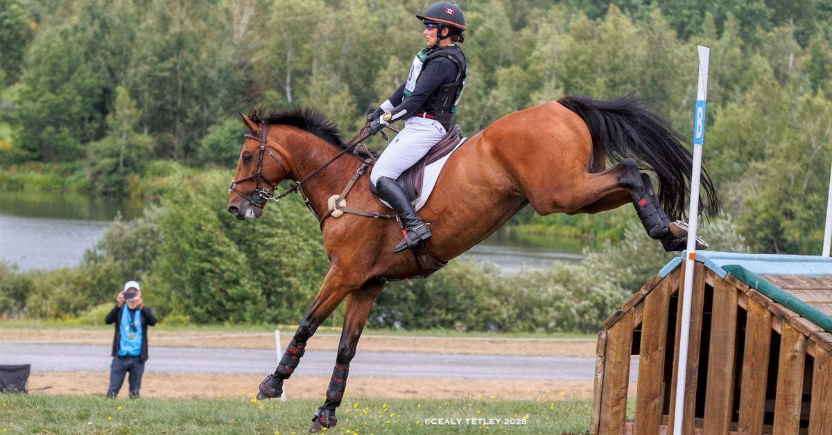 A woman jumping a bay horse over a cross-country fence at Bromont.