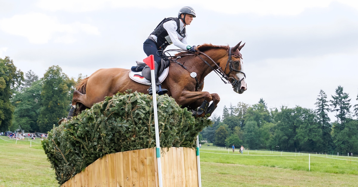 A man jumping a chestnut horse over a cross-country fence in Belgium.