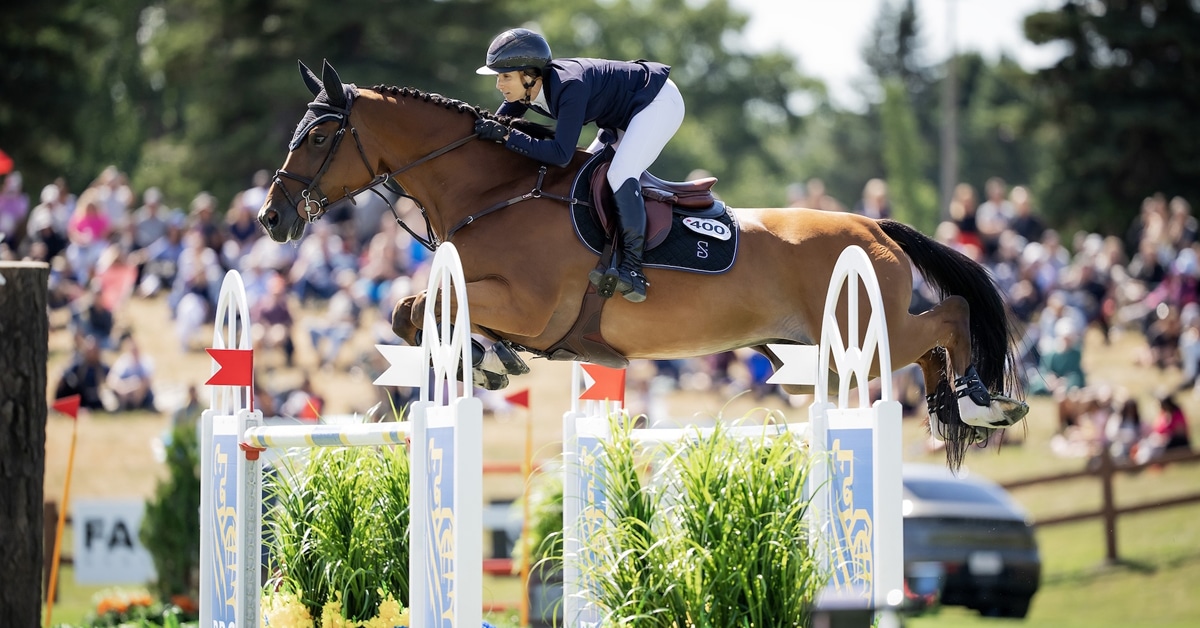 A woman jumping a bay horse over a fence in Ottawa.